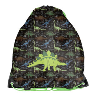PASO - WOREK NA BUTY DINOZAUR PP26DR-712