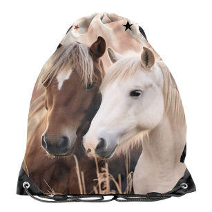 PASO - WOREK NA BUTY KONIE PP26HR-712