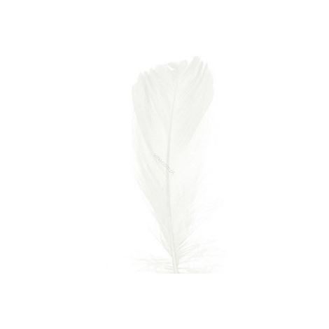F - PIÓRKA - 15g - BIAŁE